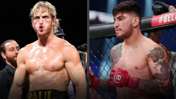 A Breakdown of Everything That's Going on Between Logan Paul and Dillon Danis Right Now