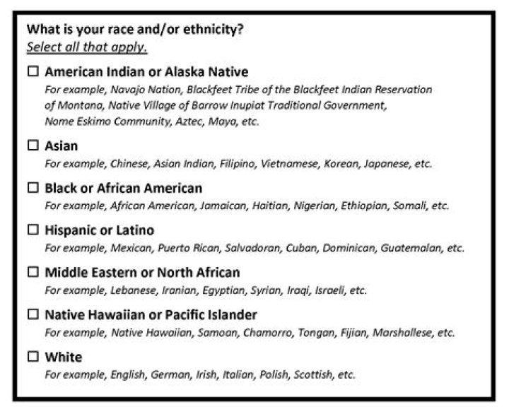 A Journey Of Ethnicity And Parental Influence