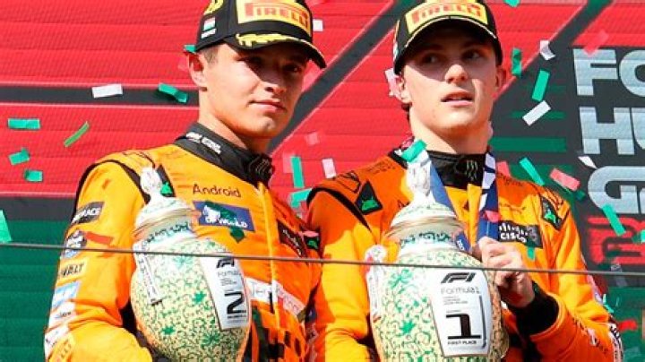 Adam Norris Net Worth: How Rich Is Lando Norris Dad? Salary And Career Earnings