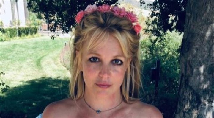 Britney Spears Explains She Wore the Same Top on Instagram 17 Times for "Project Rose"