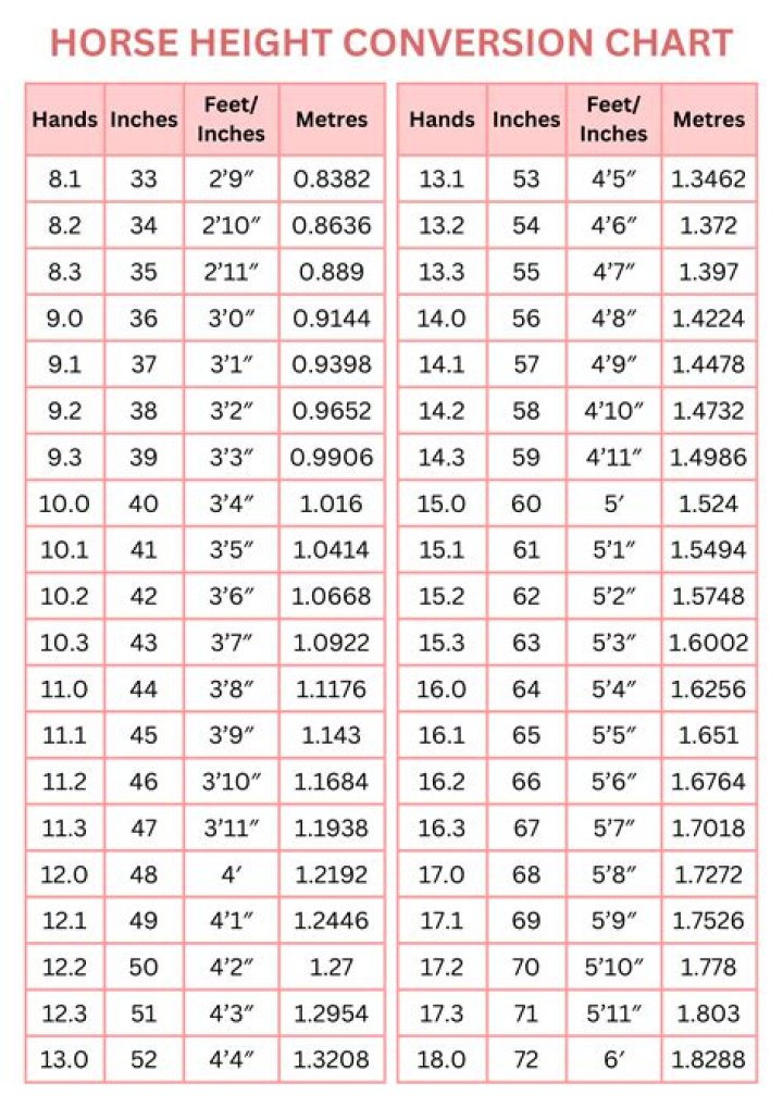 How Tall Is Kara Swisher? Height In Feet And Weigh In Kilograms ·