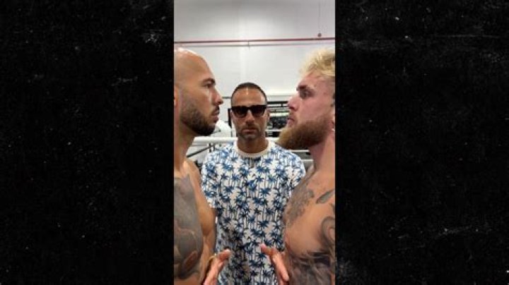 Is Jake Paul Fighting Andrew Tate? Here's What We Know