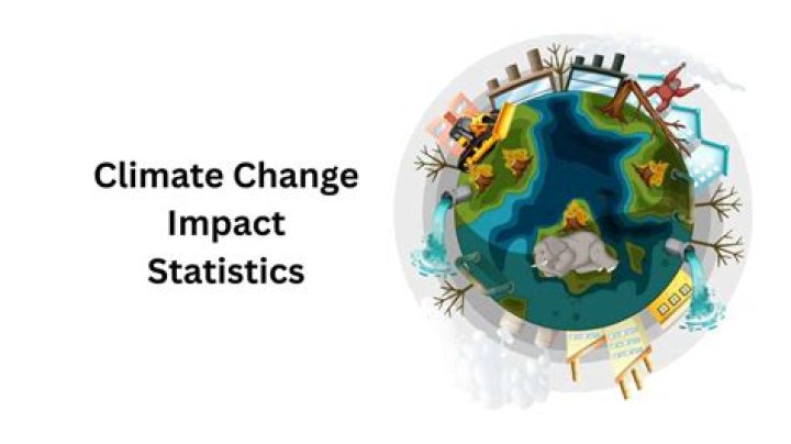 Surprising Facts And Impact Revealed