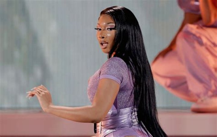 What Is Megan Thee Stallion's Net Worth? Details